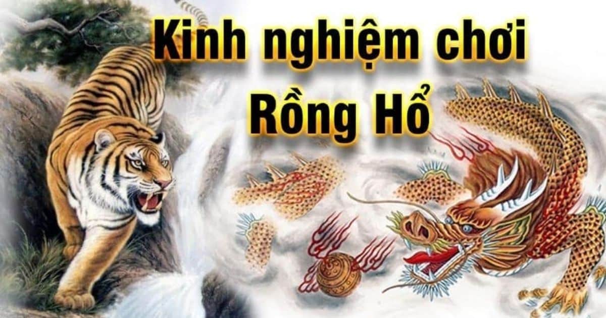 Hiểu được cách chơi của trò chơi rồng hổ