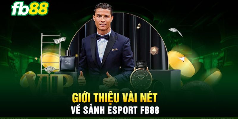 Điểm nổi bật của sảnh cá cược Esport FB 88