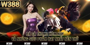 Đá Gà Thomo