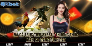 Đá Gà Trực Tiếp